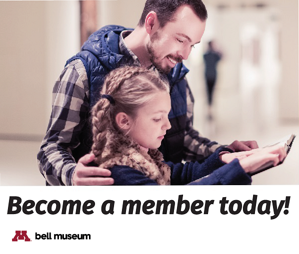 Become a member today!