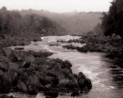 One River