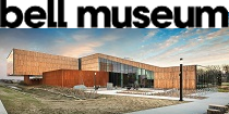 Bell Museum