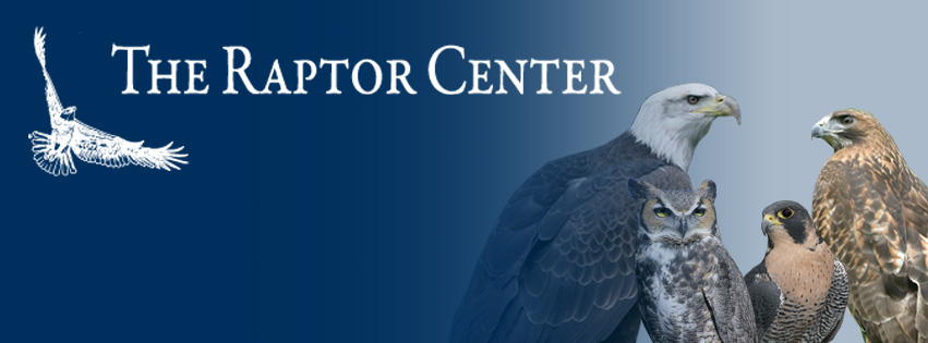 The Raptor Center