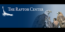 The Raptor Center